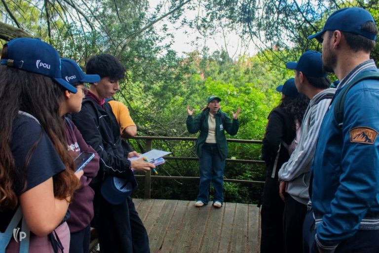 Humedales en riesgo: Bogotá está perdiendo sus ecosistemas vitales