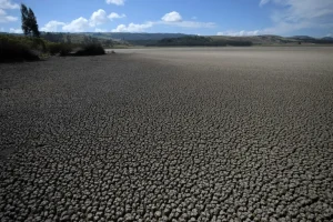 Inacción climática es ahora una violación del derecho: histórica decisión de la Corte Internacional