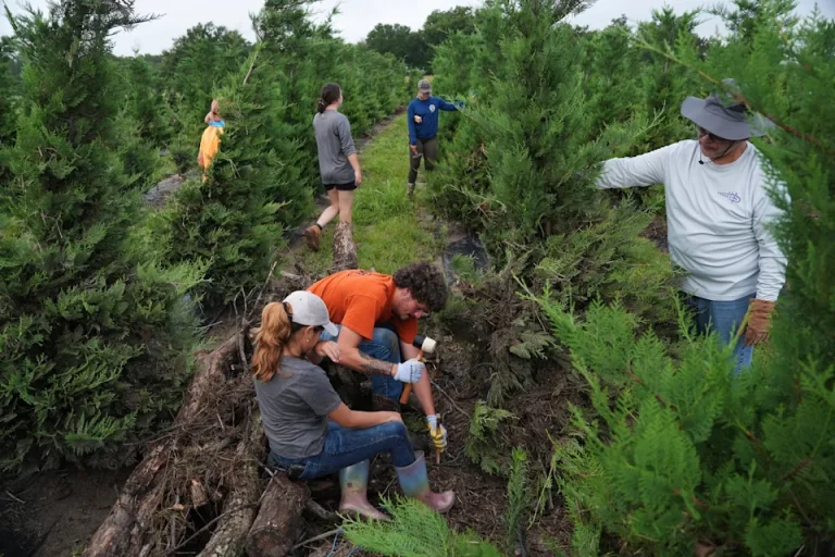 Inundaciones en Texas dañaron cultivos y pusieron en riesgo al ganado