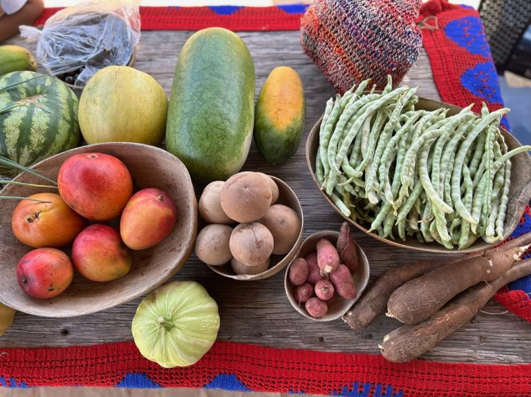 La agricultura sostenible mejora la seguridad alimentaria en el campo colombiano