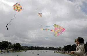 Las cometas colombianas surcan con honores el cielo en Francia