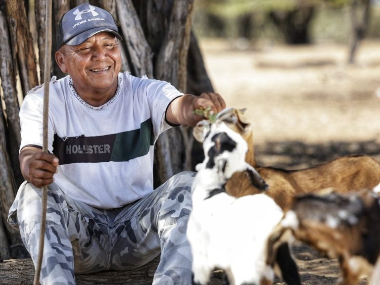 Levantan emergencia sanitaria por brote de carbunco bacteridiano en La Guajira 