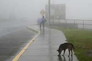 Medidas de prevención ante el inicio de la primera temporada de lluvias en el país