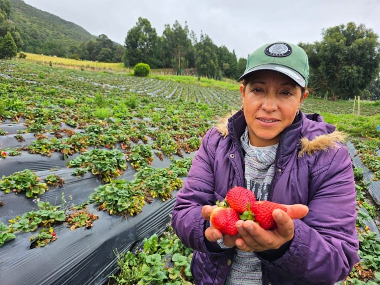 Mujeres rurales: liderazgo que transforma los sistemas agroalimentarios