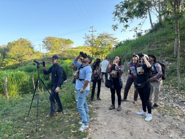 Nuevo destino de aviturismo y conservación en la Sierra Nevada de Santa Marta