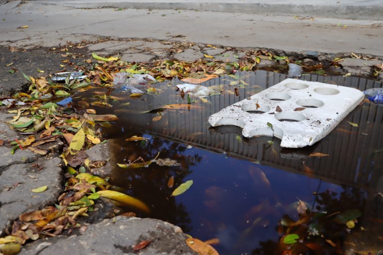 Personería de Santa Marta reclama al Ministerio de Salud vacunación urgente contra el dengue