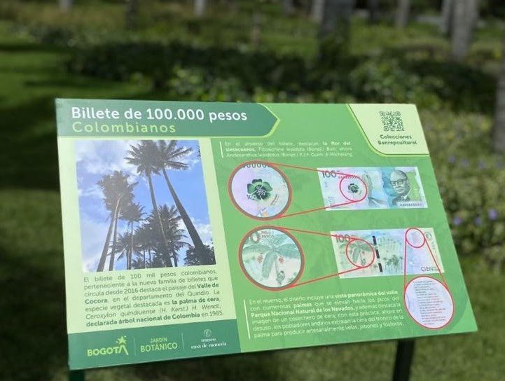 Plantas que valen oro llega al Jardín Botánico de Bogotá