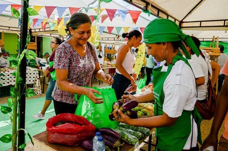 Por lo menos 15 mil hectáreas formalizadas y entregadas por la ANT a mujeres rurales en el Caribe