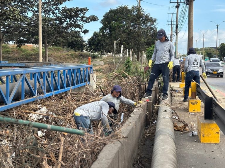 Retiradas más de 600 toneladas de residuos de los arroyos de Barranquilla