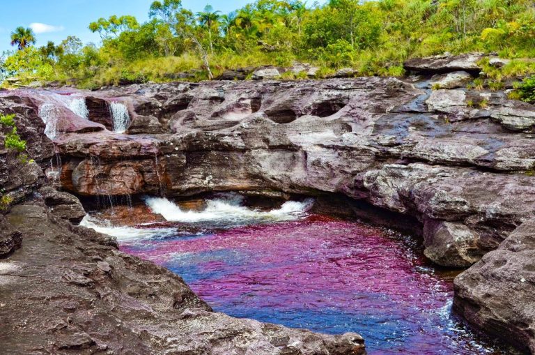 Satena reabre ruta entre Bogotá y La Macarena para temporada turística de Caño Cristales