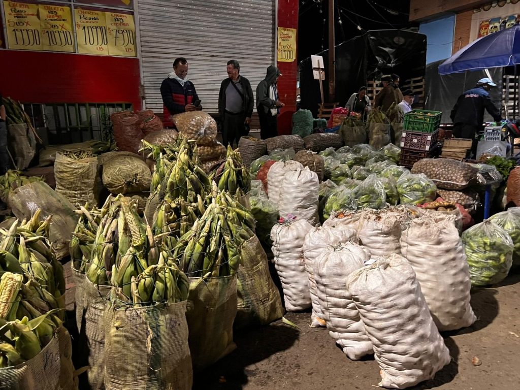 Sisabe a Cundinamarca: una radiografía del campo y la alimentación