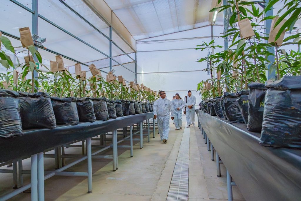 UniMagdalena inauguró el primer Invernadero de Bioseguridad Tipo II en el Caribe