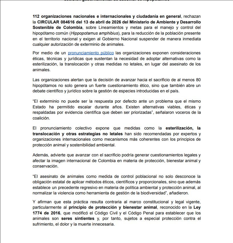 Más de 100 organizaciones se oponen al sacrificio masivo de hipópotamos