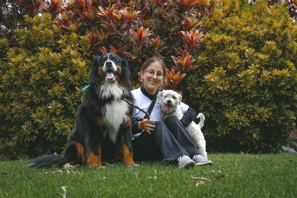 Mascotas