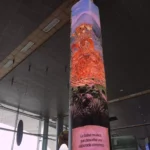 La balsa Muisca en El Dorado