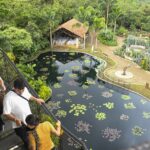 Cali biodiversa