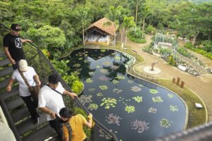 Cali biodiversa