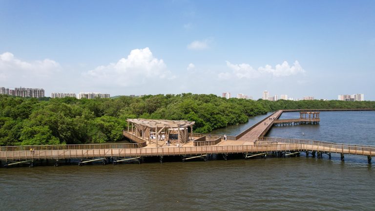 Ecoparque Ciénaga de Mallorquín: más por el turismo de naturaleza