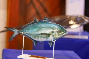 La pesca es desarrollo