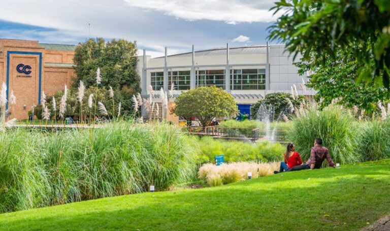 Espacio verde para las familias.