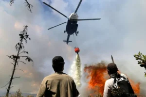 Incendio forestal