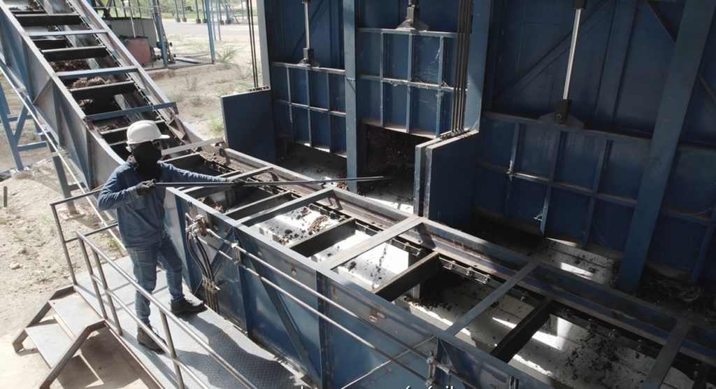 Digitalización transforma industria del aceite de palma en Colombia: crece la producción