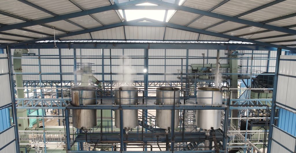 Digitalización transforma industria del aceite de palma en Colombia: crece la producción