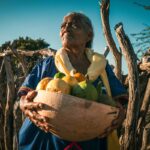 Desarrollo Rural