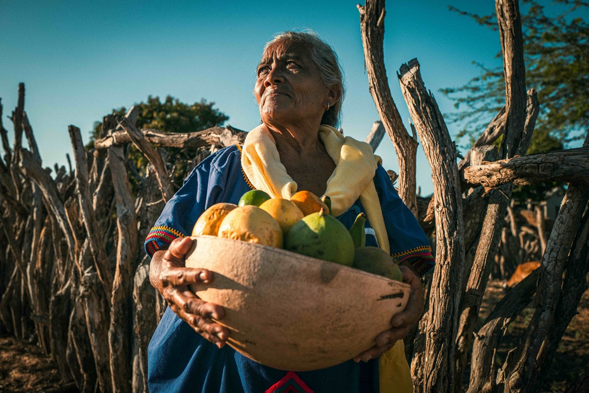 Desarrollo Rural