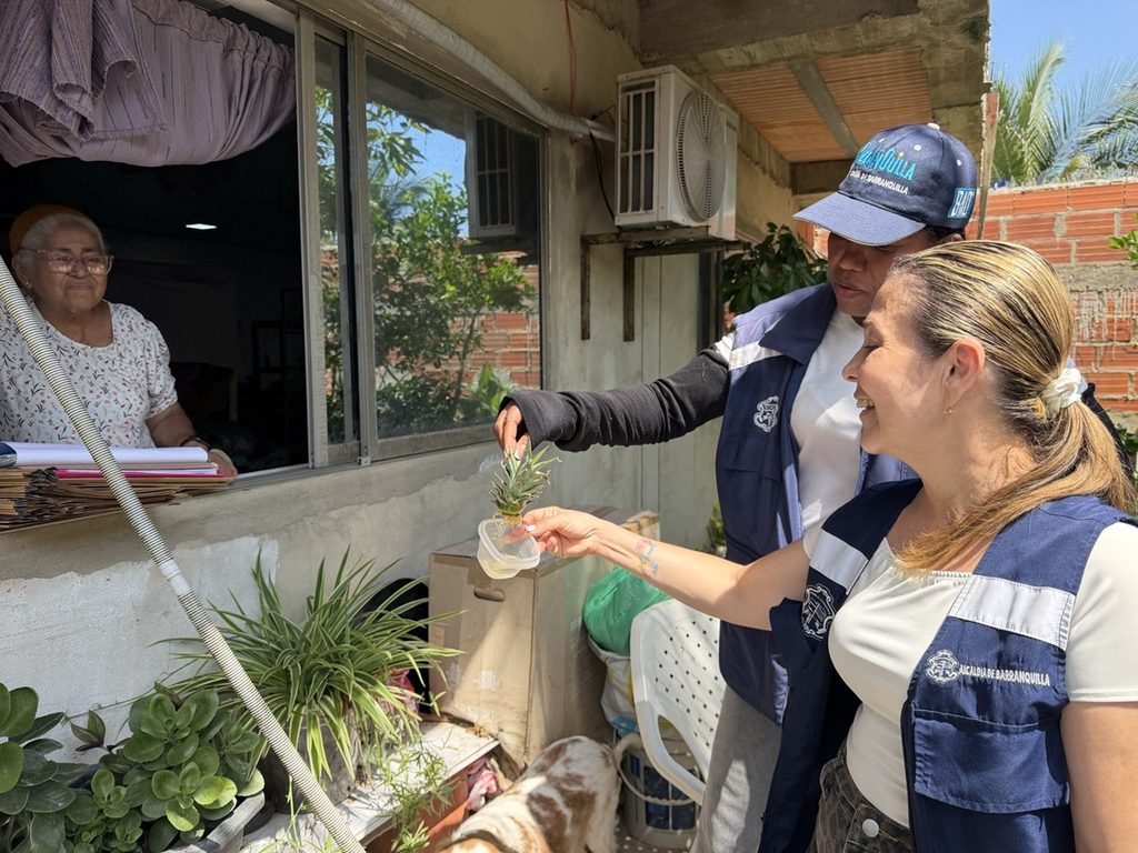 Alcaldía combate ola de mosquitos en Barranquilla
