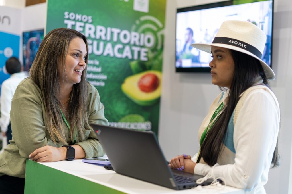 Colombia supera las 39.000 hectáreas sembradas de aguacate Hass