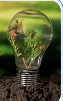 Los Biocombustibles y la Transición Energética