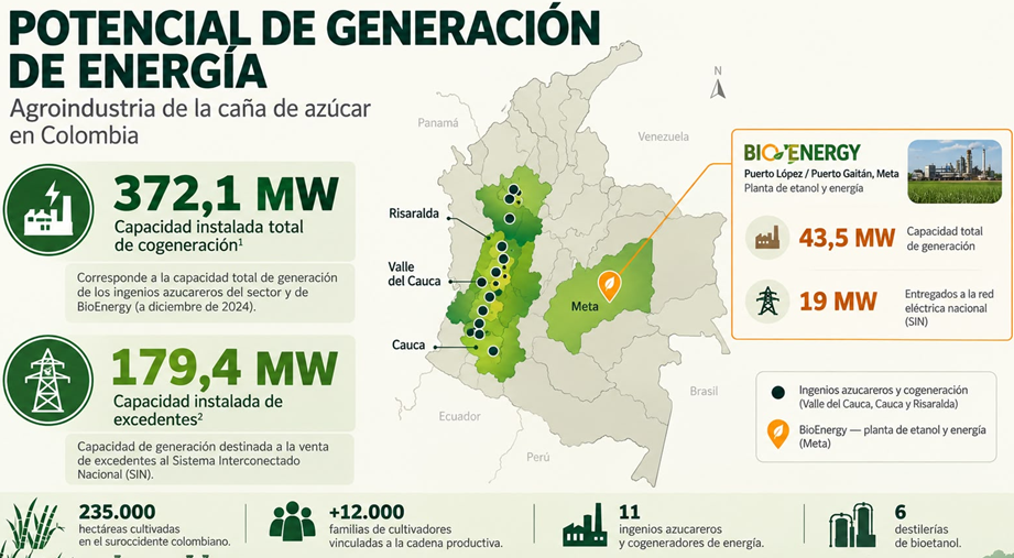 Los Biocombustibles y la Transición Energética