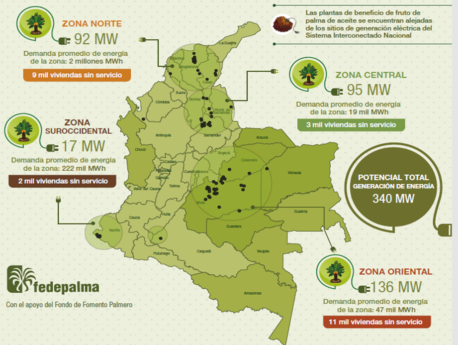 Los Biocombustibles y la Transición Energética