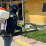 Mosquitera