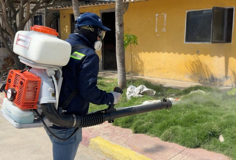 Mosquitera